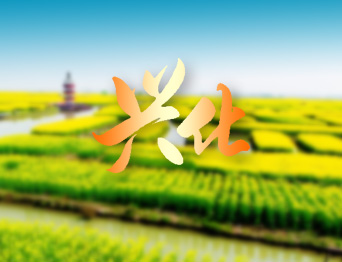 戴南文化藝術中心舞臺機械 舞臺吊桿 舞臺阻燃幕布項目 助力本地文化演出升級，為觀眾帶來更優質的視聽體驗！